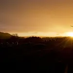 Casa de Férias Walnut *